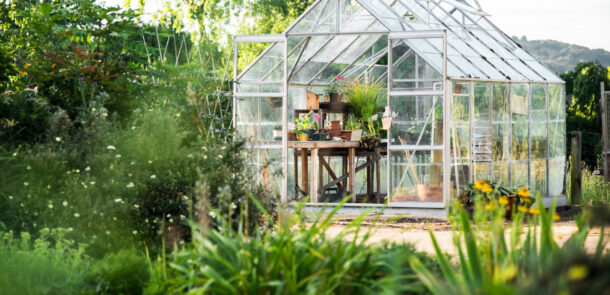 Glass greenhouse