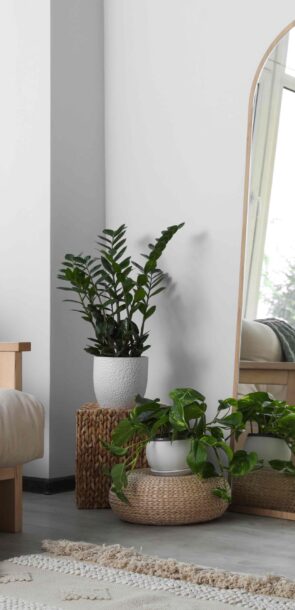 Beautiful room interior with leaning floor mirror